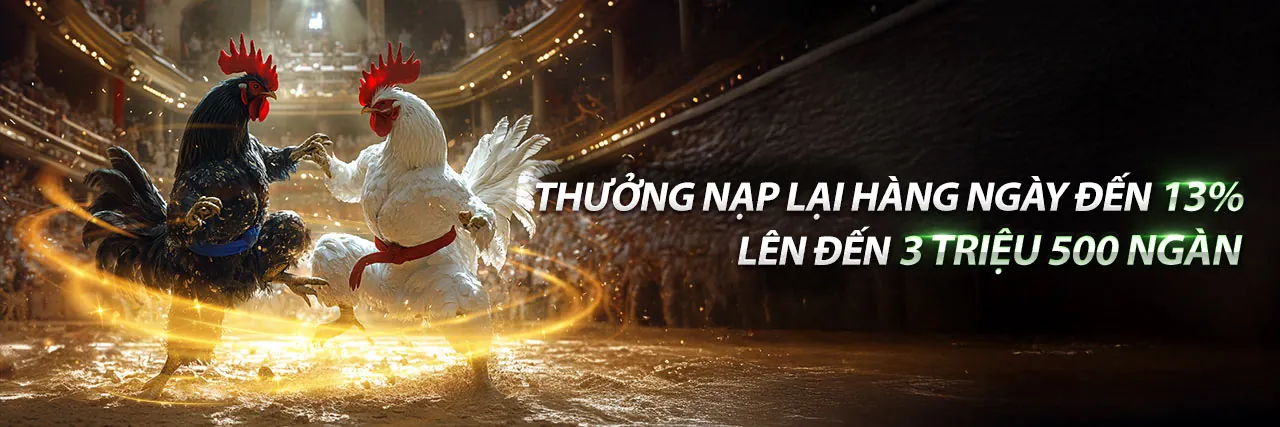 Chương trình VIP độc quyền của win55 công ty với các ưu đãi đặc biệt