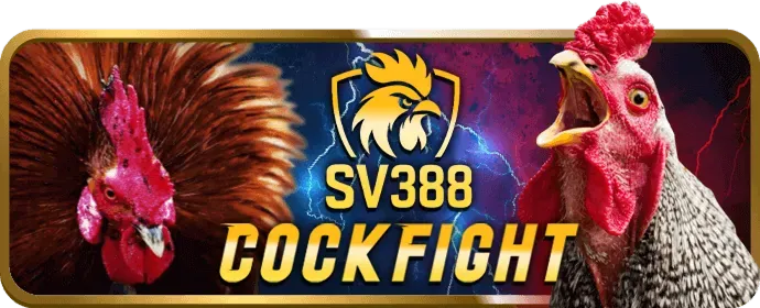 Chiến Lược Slot Game win55 công ty